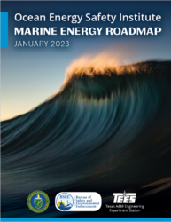 Oesi Marine Roadmap Thumbnail 1