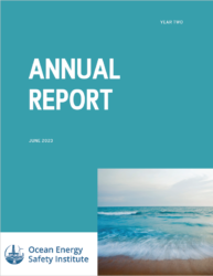 Oesi Annual Report Year 2 Thumbnail
